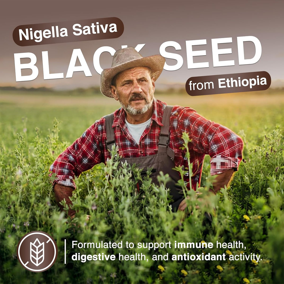 Resilia Ethiopian Black Seed